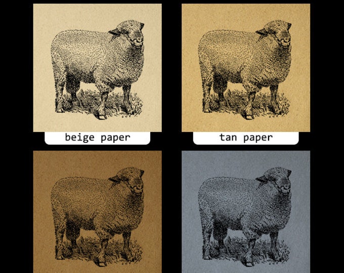 Hampshire Ram Sheep Printable Digital Image Cute Animal Download Graphic Vintage Clip Art Jpg Png Eps HQ 300dpi No.3529