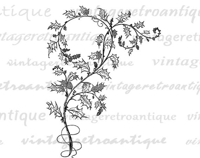 Floral Leaf Ornament Digital Graphic Download Flower Leaves Vine Printable Image Antique Clip Art Jpg Png Eps HQ 300dpi No.633