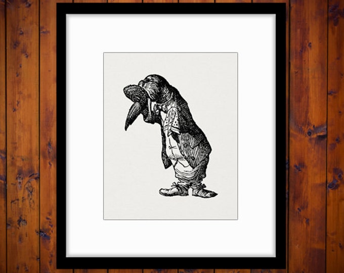 Digital Graphic Alice in Wonderland The Walrus Download Image Printable Antique Clip Art Jpg Png Eps HQ 300dpi No.1871