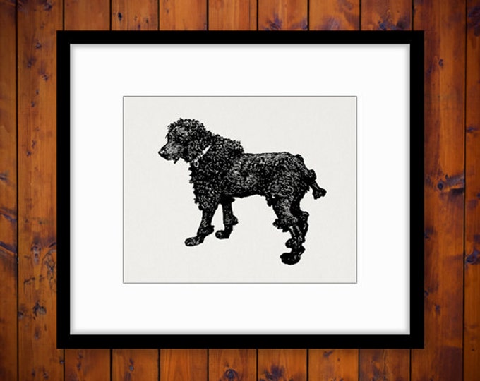 Dog Antique Image Graphic Download Digital Printable Vintage Clip Art for Transfers Printing etc HQ 300dpi No.357