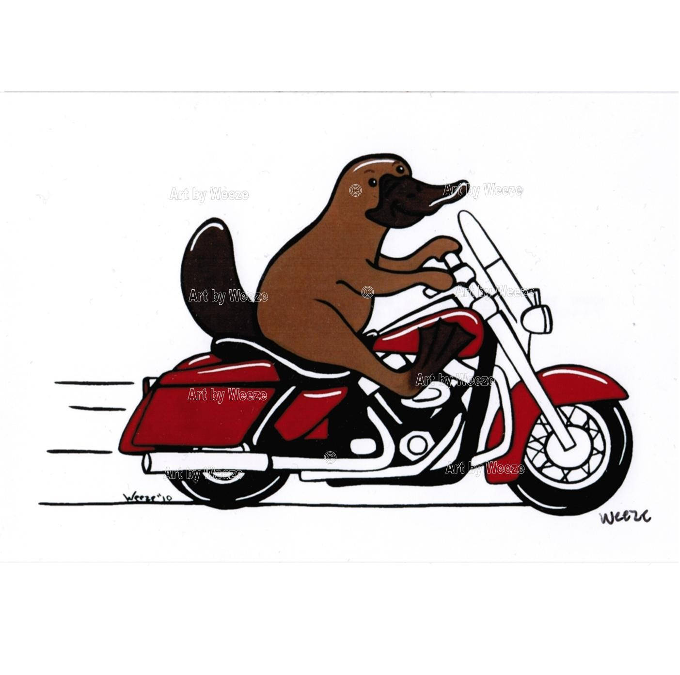 platypus platypus art motorcycle art platypus painting platypus print motorcycle - Platypus Pictures To Print platypus platypus art motorcycle art platypus painting platypus print motorcycle - Platypus Pictures To Print
