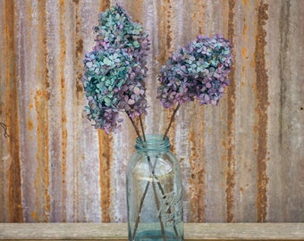 Blue Hydrangea Flowers, Preseved Hydrangea Bunch, PeeGee Hydrangeas, Dried Flowers, Blue Bi Color Hydrangeas, Preserved Blue Hydrangeas