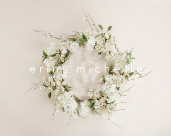 Newborn Digital Backdrop