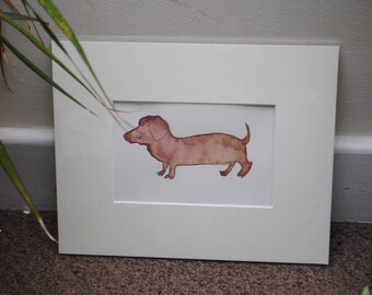 Sausage dog, Daschund watercolour