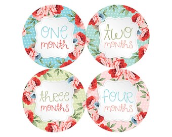Baby Girl Month Stickers Monthly Baby Stickers Milestone Baby Month Stickers Baby Girl Vintage Floral Baby Shower Gift