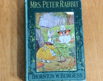 Mrs Peter Rabbit by Thornton W Burgess 1919 - Illustration by Harrison Cady