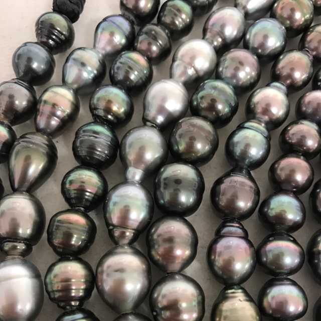 Tahitian Pearls Wholesale and Oyster Pearls by AlohaPearlsHawaii