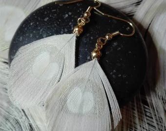Natural, gold-plated Peacock feather earrings.