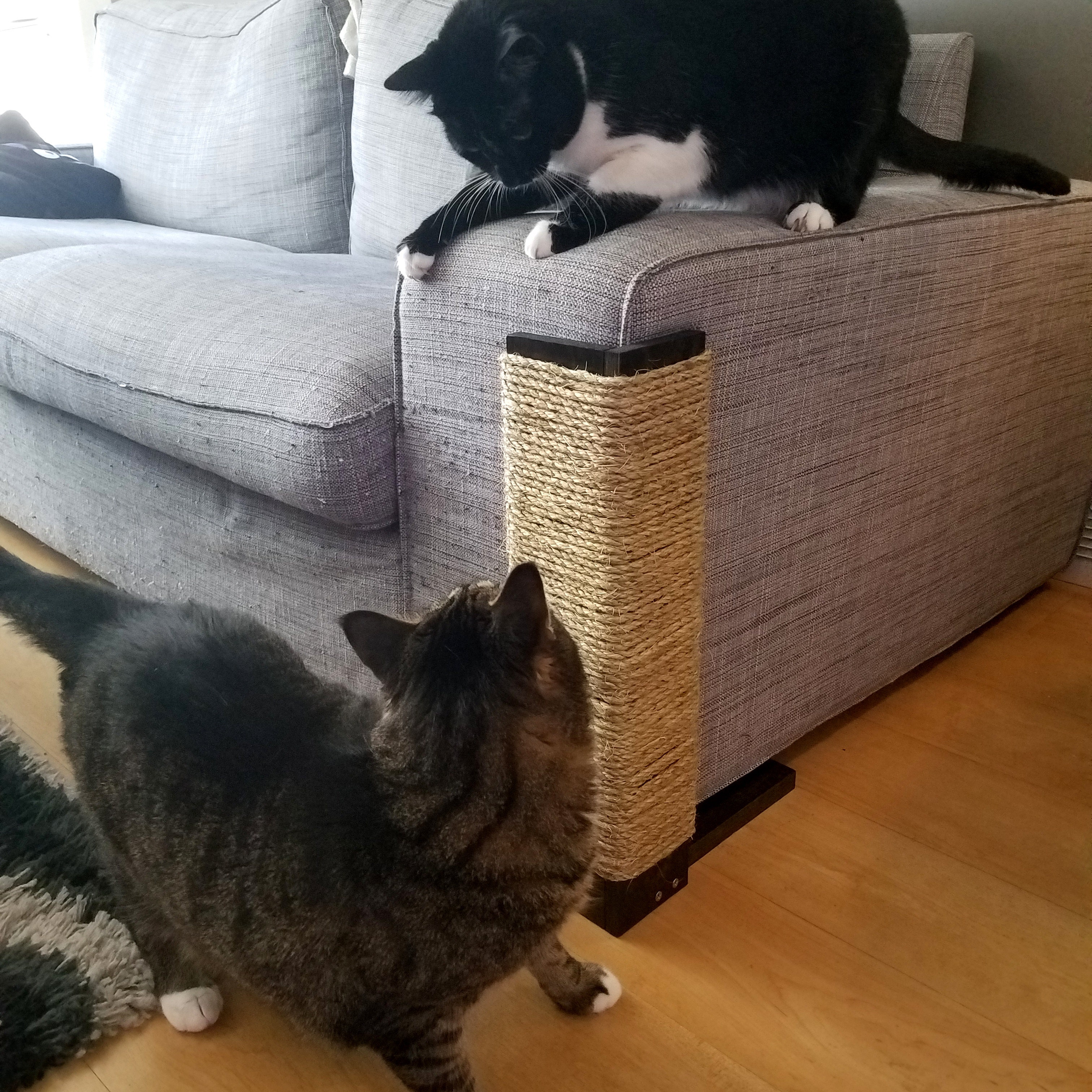 Couch Corner Cat Scratching Post 1824 inches tall Stained