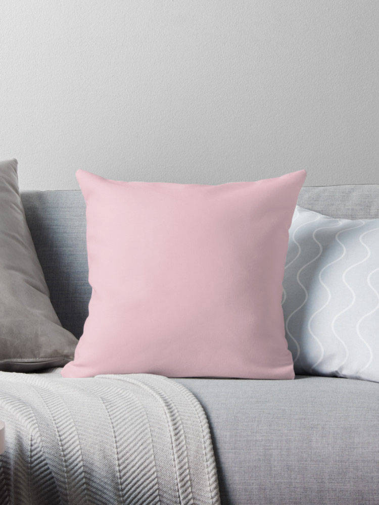 Blush Pink Pillow Light Pink Pillow Light Pink Throw Pillow