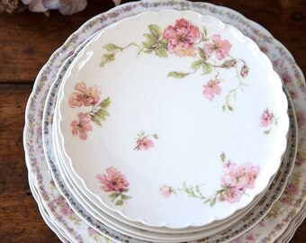 Vintage Porcelain Plate Set - 9 Pieces - Limoges Haviland and Rosenthal & Co Bavaria - Shabby Chic Table - Free Shipping Within the USA