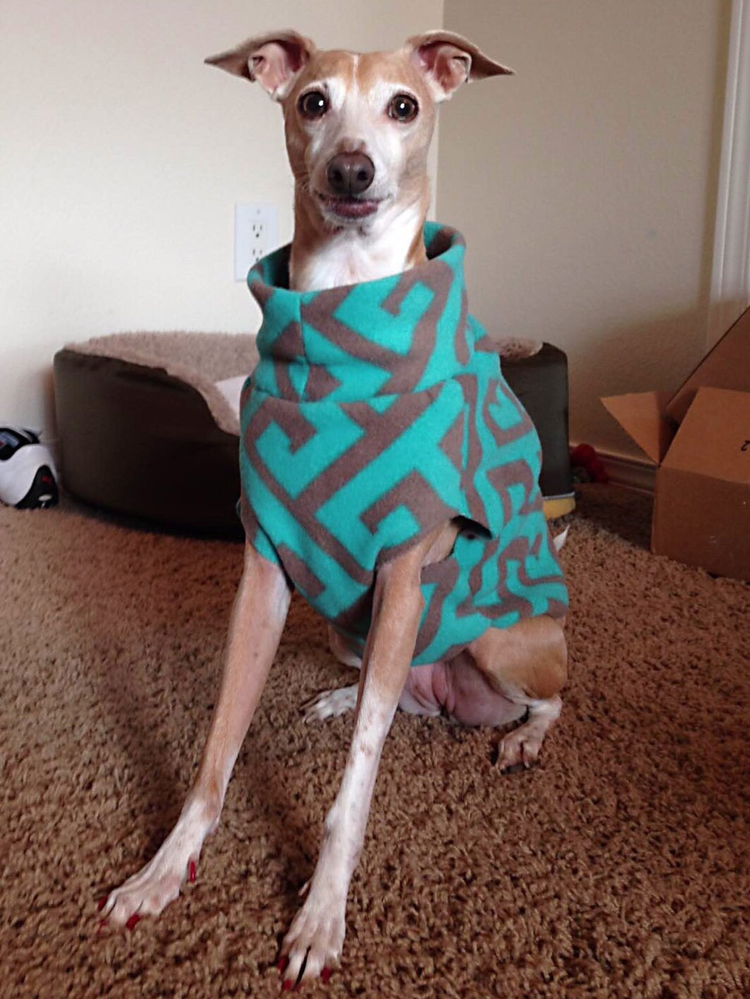 Greyhound Happy Snoods Zoom