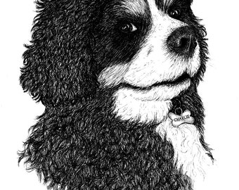 Hand Drawn Pet Portraits