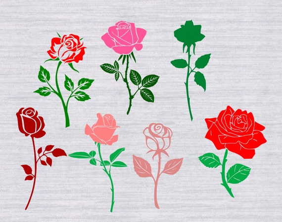 Download Rose SVG Bundle, Flower svg, Rose clipart, flowers svg ...