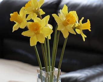 Flower decoration, home decoration, home decor, gift, daffodils, Strauß