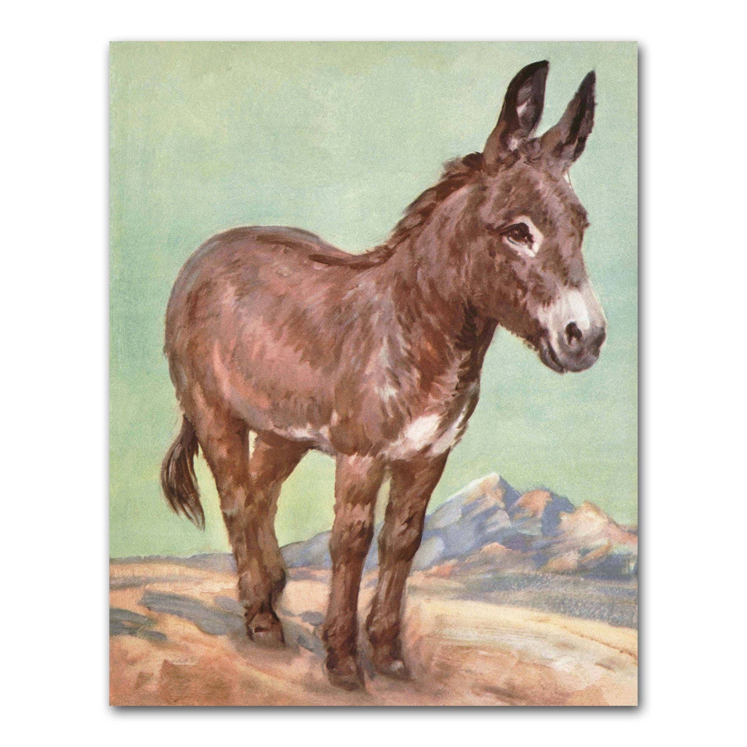 Donkey Art Print Southwestern Decor Western Wall Art Farm