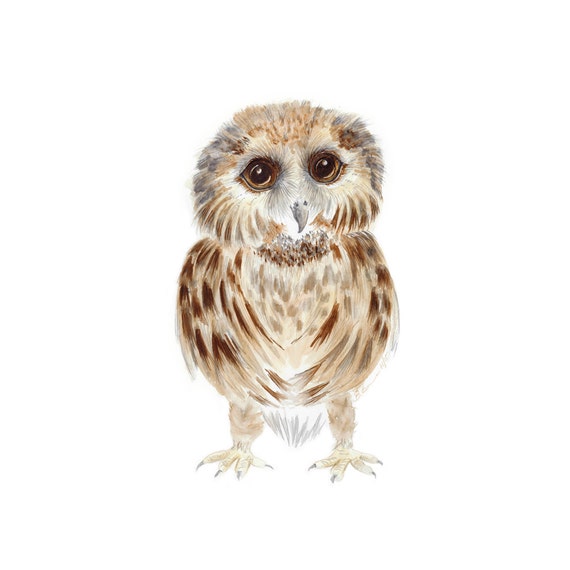 Download Woodland Animal Owl Nursery Print Baby Owl Watercolor Owl