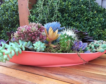 Succulent planter/planter/succulent arrangement/succulent plant/outdoor planter/indoor planter /cactus planter