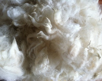 Alpaca Fleece - Carlyle 1 oz