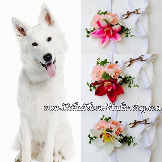 Dog Wedding Leash Dog Wedding Attire Dog wedding collar Dog