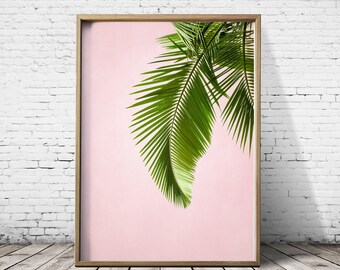 Photograpphy Palm Tree Wall Art Palm Tree Print Palm Tree Art Tropical Print Tropical Wall Art Tropical Art Print