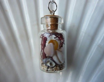 Irish beach in a bottle necklace, beach terrarium, seaweed, sand and shells necklace
