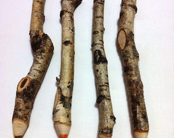 Natural pencil, Wooden Pencils, Pencils branches, Twig pencils, Colored Pencils Set, Wood pencils, Tree branch decor, Rustic color pencil,