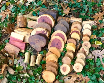 Tree Blocks 45 Piece Pro set -Shipping Included