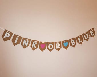 PINK OR BLUE Bunting, Gender Reveal banner. Baby Shower decorations. Hanging Garland pink blue girl or boy. Mom to be party