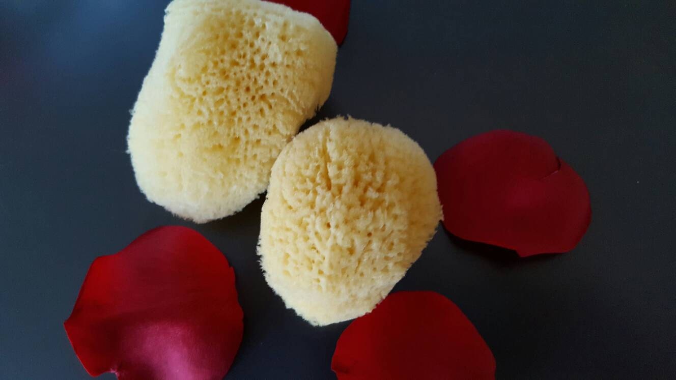 Sea Sponge Tampon 2 Organic Menstrual Sponges Regular Heavy