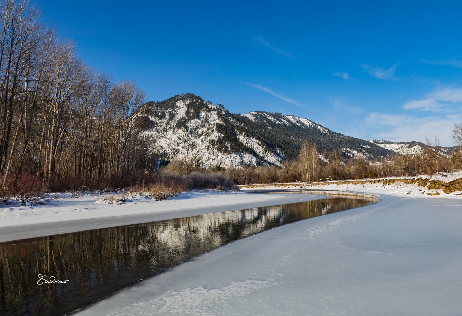 Winter Leaves Snow Ice Wenatchee River Washington Stock Image Image