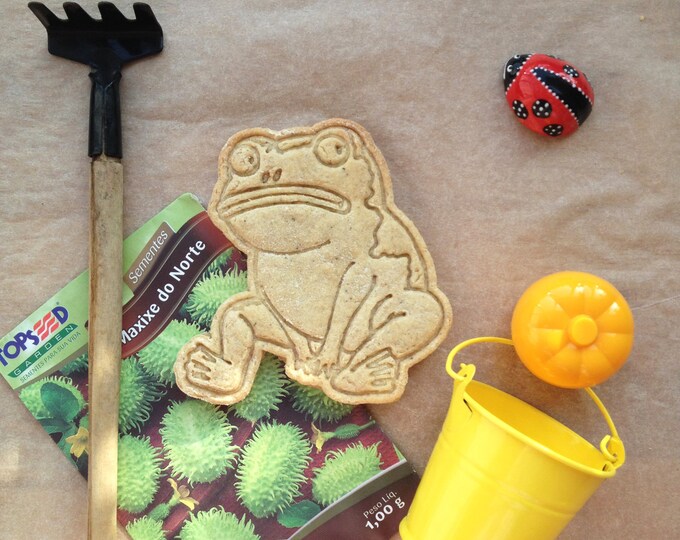 Frog cookie cutter. Over the Garden Wall cookie cutter. Over the Garden Wall cookies