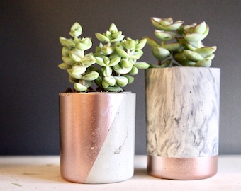 Medium "Tweenies" Concrete Planter. Concrete Succulent Planter. 2.5" Diameter. 3" or 4" height. Cylinder Concrete Planter Minimalist Planter