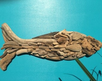 Driftwood fish Poisson de bois flottant-- Driftwoodfish