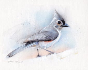 Tufted Titmouse Acrylic Painting Original Art