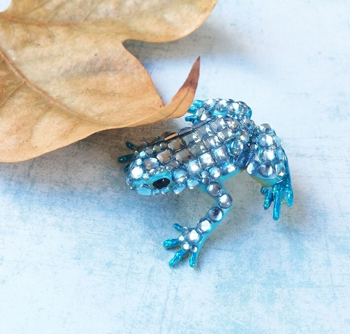 Frog brooch nature animal jewelry statement brooch custom