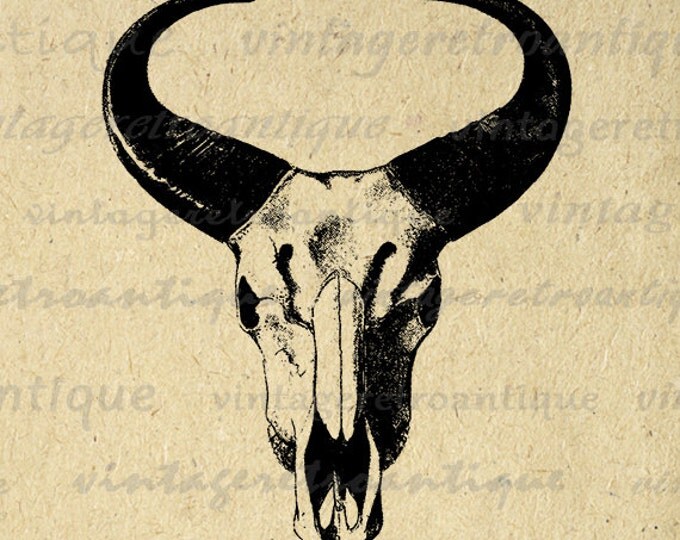 Digital Graphic Western Skull Horns Image Bull Printable Bull Horns Farm Animal Clipart Download Cow Vintage Jpg Png Eps HQ 300dpi No.557