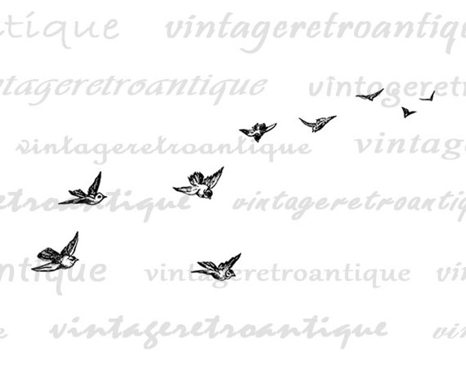 Digital Printable Flying Birds Image Printable Bird Art Animal Graphic Download Illustration Antique Clip Art Jpg Png Eps HQ 300dpi No.2374