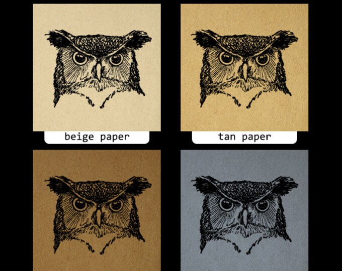 Owl Graphic Printable Digital Bird Head Image Download Vintage Clip Art Jpg Png Eps HQ 300dpi No.547