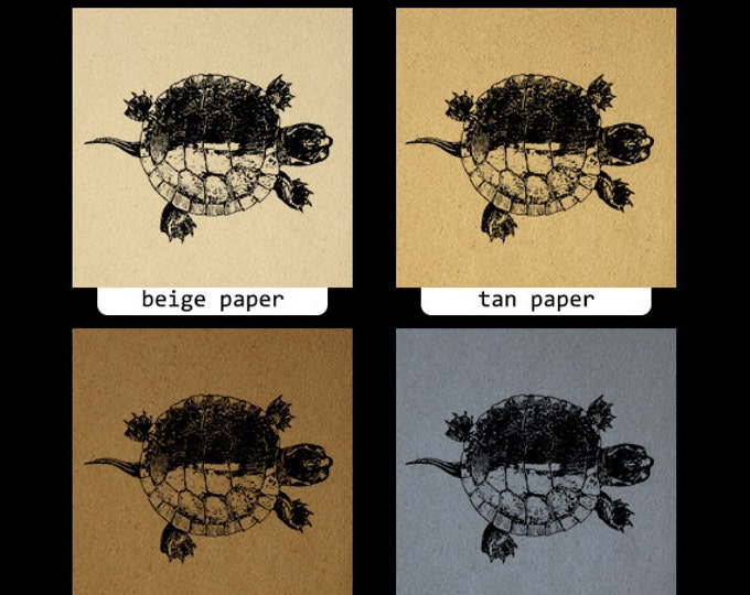 Printable Tortoise Turtle Graphic Download Illustration Digital Image Vintage Clip Art Jpg Png Eps HQ 300dpi No.3097