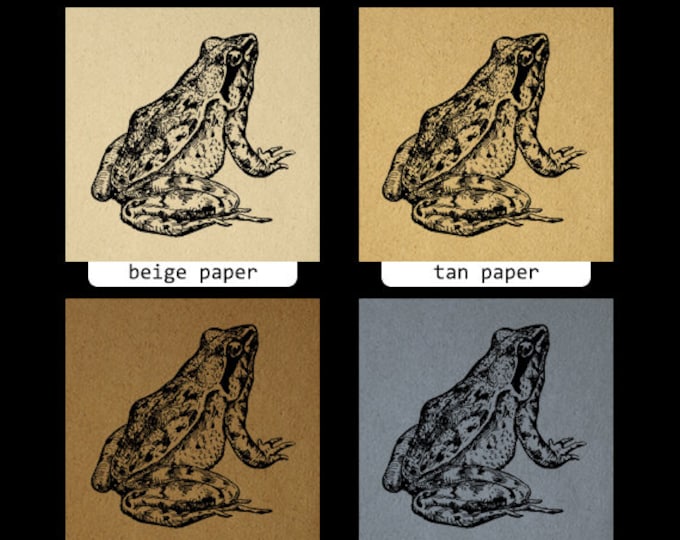 Antique Frog Printable Digital Image Download Illustration Graphic Vintage Clip Art Jpg Png Eps HQ 300dpi No.373