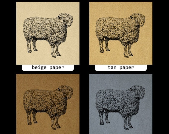 Printable Digital Sheep Graphic Cute Farm Animal Download Cotswold Ewe Sheep Image Illustration Vintage Clip Art HQ 300dpi No.3479