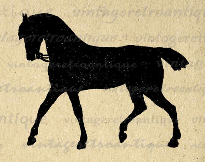 Horse Silhouette Digital Graphic Image Antique Horse Download Printable Vintage Clip Art Jpg Png Eps HQ 300dpi No.4207