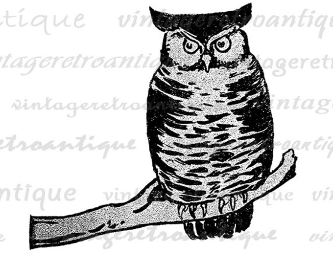 Digital Image Owl Printable Antique Graphic Bird Download Vintage Clip Art Jpg Png Eps HQ 300dpi No.330