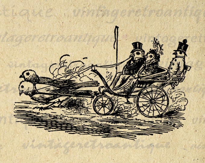 Bird Carriage with Birds Digital Printable Graphic Image Download Vintage Clip Art for Transfers Making Prints etc HQ 300dpi No.2445