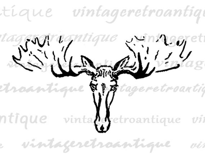 Digital Printable Moose Antique Graphic Illustration Download Image Vintage Clip Art Jpg Png Eps HQ 300dpi No.1661