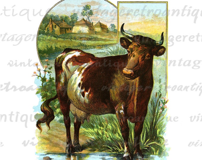 Classic Color Cow Illustration Digital Printable Image Cow Graphic Download Antique Clip Art HQ 300dpi No.1989