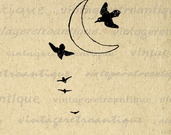 Printable Birds Crescent Moon Graphic Image Illustrated Download Digital Vintage Clip Art Jpg Png Eps HQ 300dpi No.947