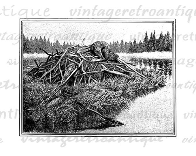 Beaver Dam Graphic Digital Image Download Printable Jpg Png Eps HQ 300dpi No.777