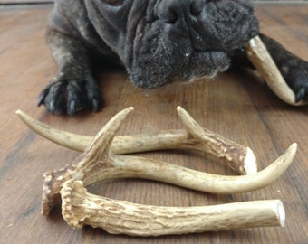 Deer Antler Dog Chews, natural toys for dogs, small medium and large size